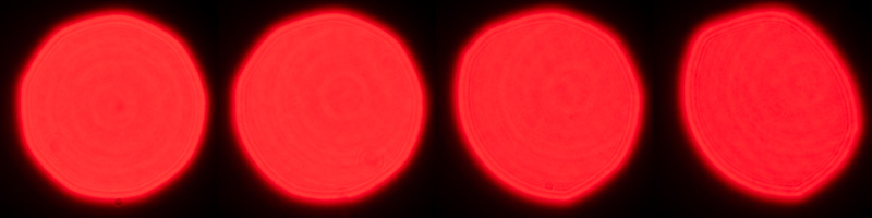 sony fe 70mm-200 4.0 g macro oss mark ii mk 2 sony 42mp 61mp a7rii a7riv a7riii a1 a9iii a7rv review resolution sharpness contrast bokeh vignetting coma