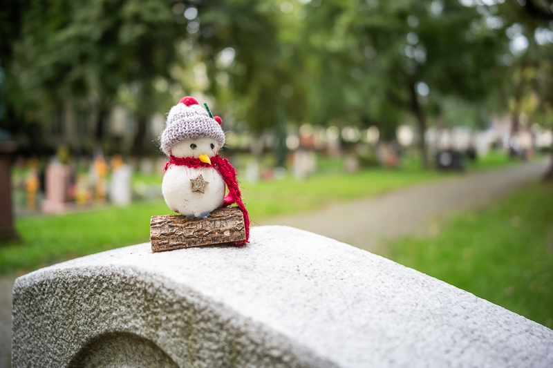 thypoch eureka 28mm 2.8 compact leica m10 m11 m9 m8 m10r review 42mp 24mp 61mp contrast sharpness bokeh vignetting limited
