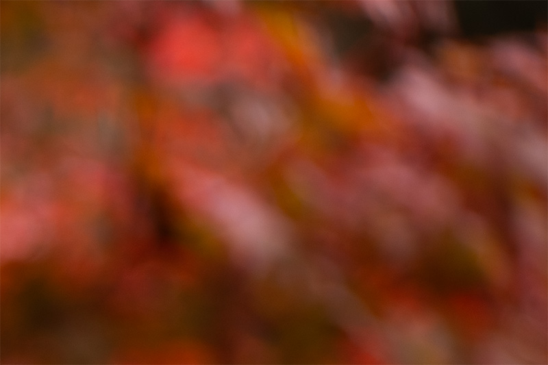 laowa af c-dreamer aura 200mm 2.0 f/2.0 super tele fast 2025 sport reportage press review 42mp sony nikon z 61mp z6 z7 z8 z9 a1 a9 a9ii a1ii a7riv a7rv contrast sharpness bokeh vignetting a7v ac7 zf