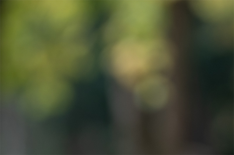 sigma 135mm 1.4 art dg aizu bokeh master sony 42mp 61mp a7rii a7riv a7riii a1 a9iii a7rv review resolution sharpness contrast bokeh vignetting coma astrophotography z6 z7 z8 z9 zf a1 a1ii a9 a9ii l-mount