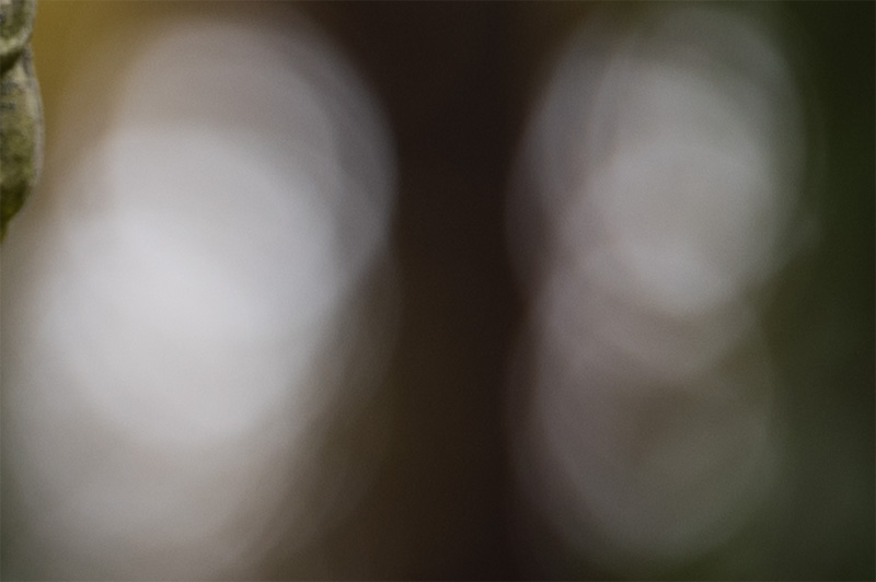 sigma 135mm 1.4 art dg aizu bokeh master sony 42mp 61mp a7rii a7riv a7riii a1 a9iii a7rv review resolution sharpness contrast bokeh vignetting coma astrophotography z6 z7 z8 z9 zf a1 a1ii a9 a9ii l-mount