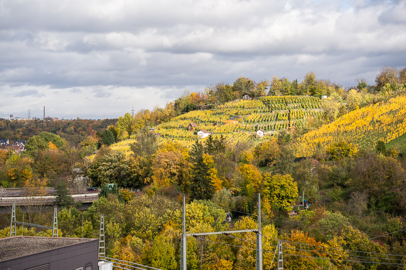 sony fe 70mm-200 4.0 g macro oss mark ii mk 2 sony 42mp 61mp a7rii a7riv a7riii a1 a9iii a7rv review resolution sharpness contrast bokeh vignetting coma