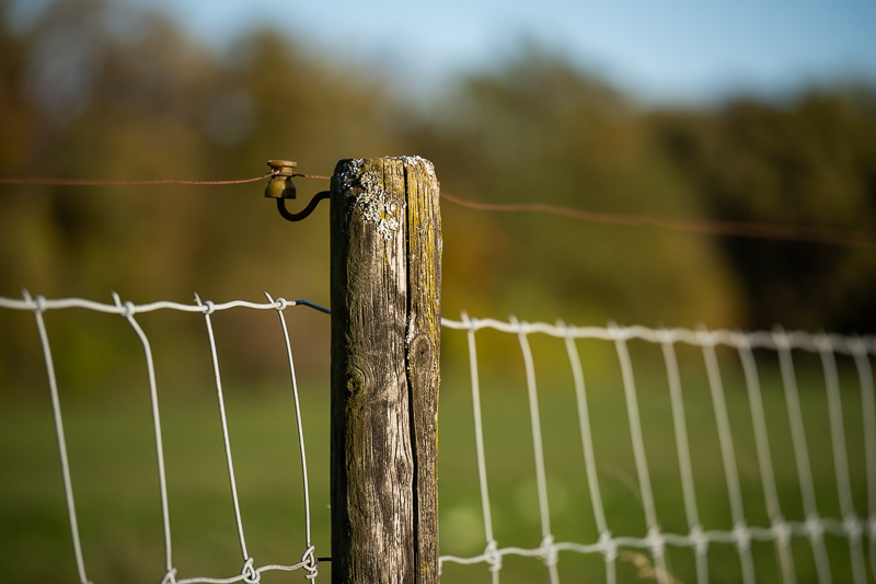 sony fe 70mm-200 4.0 g macro oss mark ii mk 2 sony 42mp 61mp a7rii a7riv a7riii a1 a9iii a7rv review resolution sharpness contrast bokeh vignetting coma