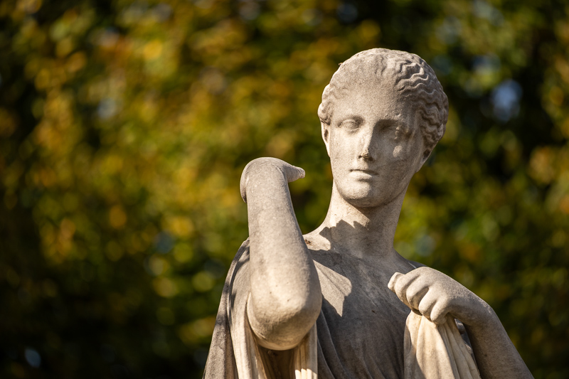 sony fe 70mm-200 4.0 g macro oss mark ii mk 2 sony 42mp 61mp a7rii a7riv a7riii a1 a9iii a7rv review resolution sharpness contrast bokeh vignetting coma