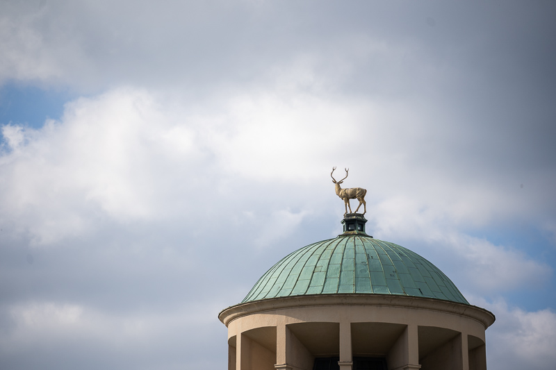 sony fe 70mm-200 4.0 g macro oss mark ii mk 2 sony 42mp 61mp a7rii a7riv a7riii a1 a9iii a7rv review resolution sharpness contrast bokeh vignetting coma