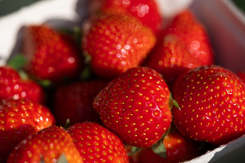 sony fe 70mm-200 4.0 g macro oss mark ii mk 2 sony 42mp 61mp a7rii a7riv a7riii a1 a9iii a7rv review resolution sharpness contrast bokeh vignetting coma