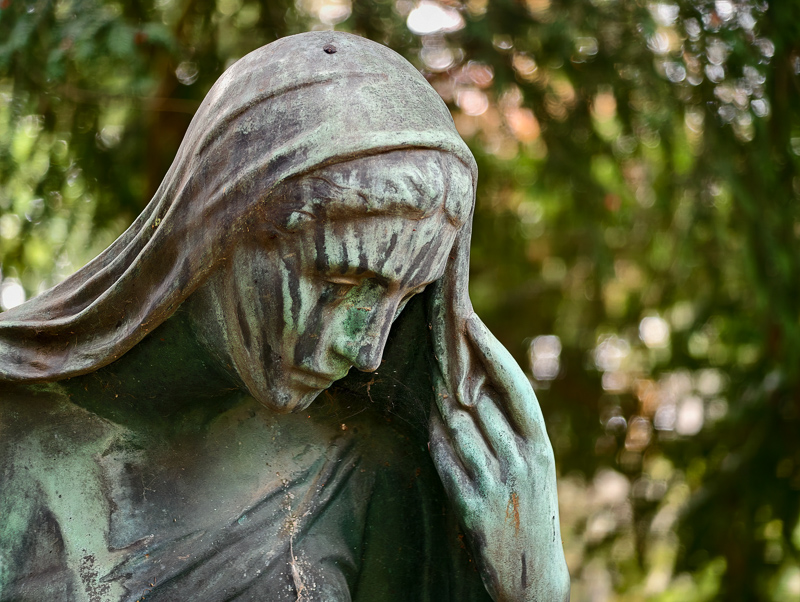 vivo x200 ultra review bokeh sharpness contrast vignetting comparison 50mp 200mp