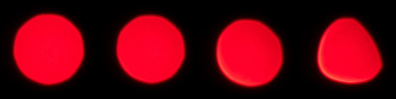 omnar bertele sonnar flb review leica m10 m11 m9 42mp 24mp cinematic contrast sharpness rendering bokeh 50mm 2.0 film analogue focus shift skyllaney