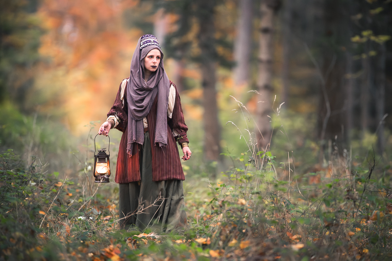 sigma 135mm 1.4 art dg aizu bokeh master sony 42mp 61mp a7rii a7riv a7riii a1 a9iii a7rv review resolution sharpness contrast bokeh vignetting coma astrophotography z6 z7 z8 z9 zf a1 a1ii a9 a9ii l-mount