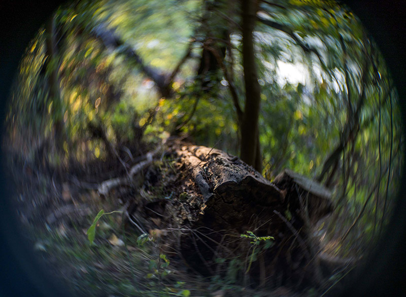 Zeiss Kipronar 50 1,4