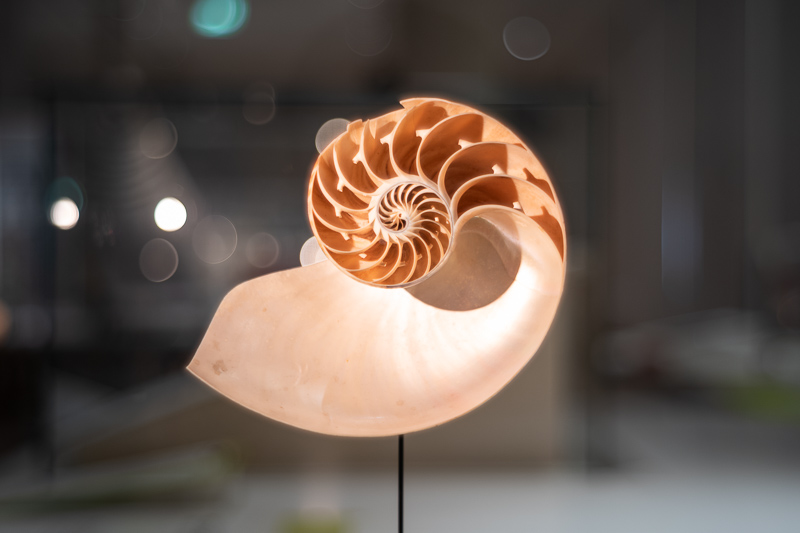 omnar bertele sonnar flb review leica m10 m11 m9 42mp 24mp cinematic contrast sharpness rendering bokeh 50mm 2.0 film analogue focus shift skyllaney