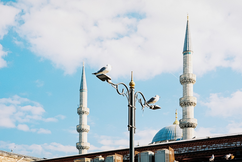 omnar bertele sonnar flb review leica m10 m11 m9 42mp 24mp cinematic contrast sharpness rendering bokeh 50mm 2.0 film analogue focus shift skyllaney