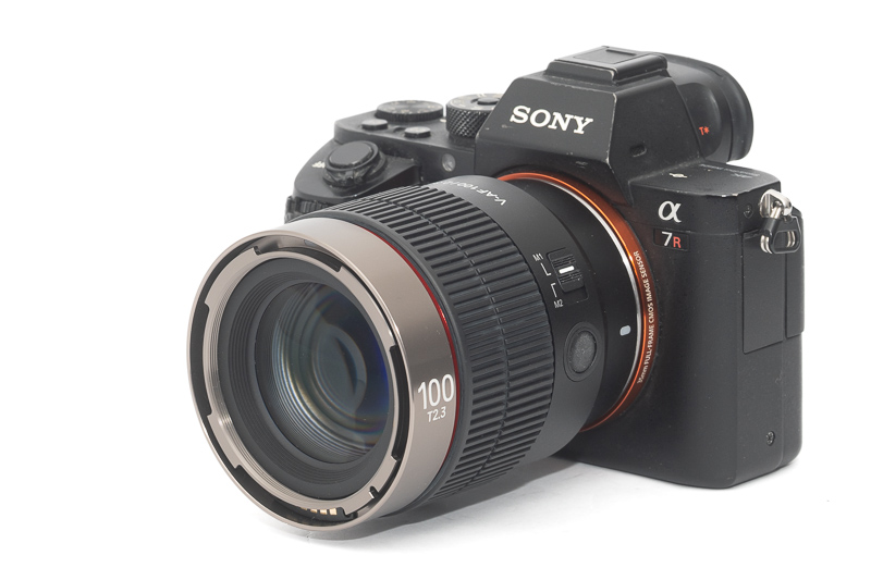 samyang v-af video cine 100mm af T2.3 f/2.2 2.3 2,3 sony 42mp 61mp a7rii a7riv a7riii a1 a9iii a7rv review resolution sharpness contrast bokeh vignetting coma sunstars z6 z7 z8 z9 lightweight small