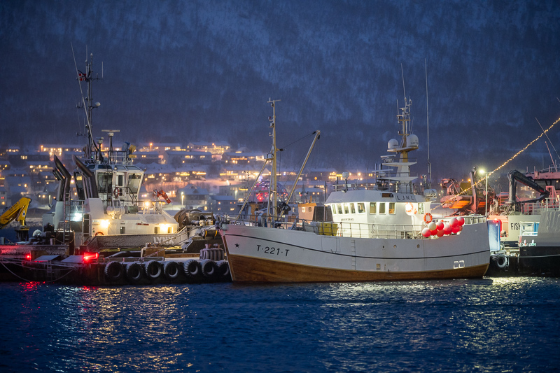 sigma 135mm 1.4 art dg aizu bokeh master sony 42mp 61mp a7rii a7riv a7riii a1 a9iii a7rv review resolution sharpness contrast bokeh vignetting coma astrophotography z6 z7 z8 z9 zf a1 a1ii a9 a9ii l-mount