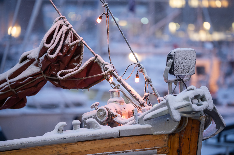 sigma 135mm 1.4 art dg aizu bokeh master sony 42mp 61mp a7rii a7riv a7riii a1 a9iii a7rv review resolution sharpness contrast bokeh vignetting coma astrophotography z6 z7 z8 z9 zf a1 a1ii a9 a9ii l-mount