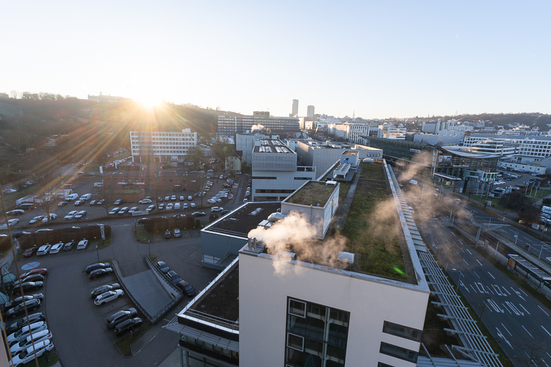 sigma 17mm 4.0 dg dn c contemporarly e fe l small review sharpness contrast bokeh coma vignetting 42mp 63mp sony a7 a7rii a7iii a7riv a7rv a7iv a1 a9 a9ii