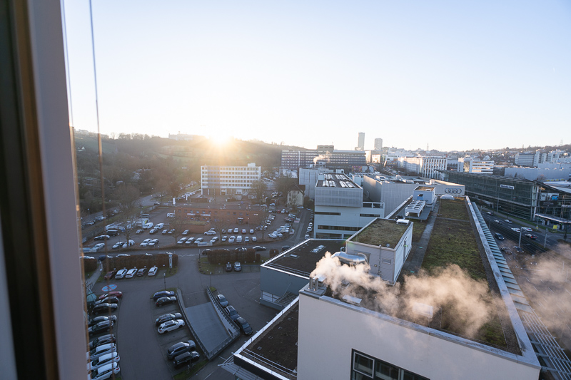 sigma 17mm 4.0 dg dn c contemporarly e fe l small review sharpness contrast bokeh coma vignetting 42mp 63mp sony a7 a7rii a7iii a7riv a7rv a7iv a1 a9 a9ii