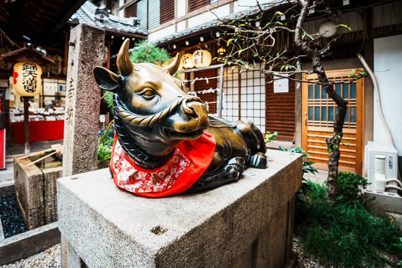 sigma 17mm 4.0 dg dn c contemporarly e fe l small review sharpness contrast bokeh coma vignetting 42mp 63mp sony a7 a7rii a7iii a7riv a7rv a7iv a1 a9 a9ii