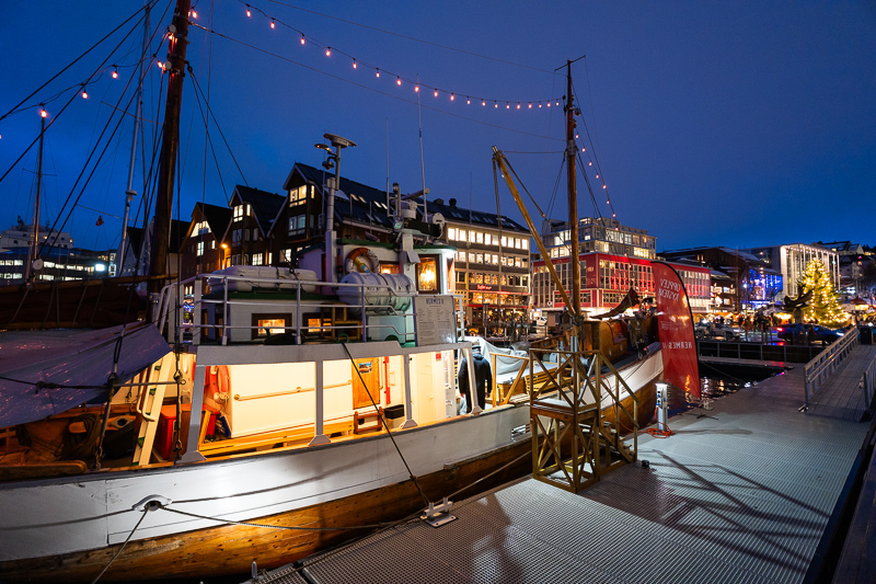 sigma 17mm 4.0 dg dn c contemporarly e fe l small review sharpness contrast bokeh coma vignetting 42mp 63mp sony a7 a7rii a7iii a7riv a7rv a7iv a1 a9 a9ii