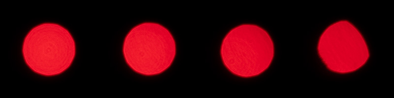 songraw 50mm 1.2 moonlit sony fe gm fullframe fastest lens contrast resolution 33mp 42mp 61mp sharpness vignetting a7riv a7rv a9 bokeh portrait z6 z7 z8 z9 zf z6iii nikon