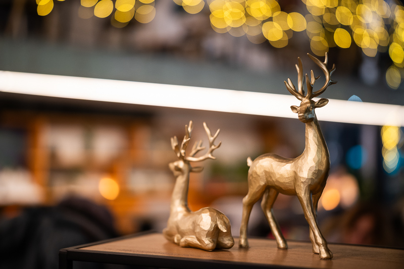 songraw 50mm 1.2 moonlit sony fe gm fullframe fastest lens contrast resolution 33mp 42mp 61mp sharpness vignetting a7riv a7rv a9 bokeh portrait z6 z7 z8 z9 zf z6iii nikon