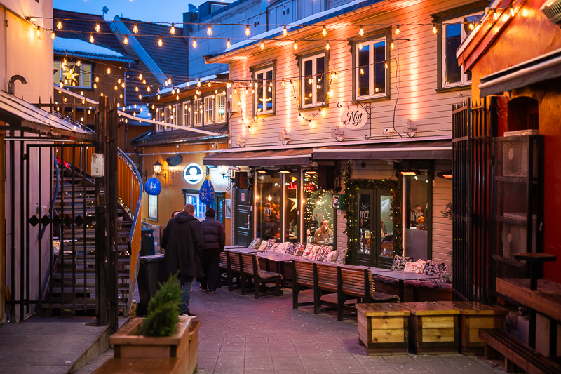 songraw 50mm 1.2 moonlit sony fe gm fullframe fastest lens contrast resolution 33mp 42mp 61mp sharpness vignetting a7riv a7rv a9 bokeh portrait z6 z7 z8 z9 zf z6iii nikon