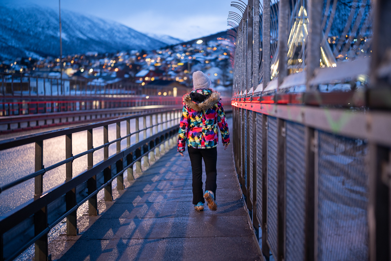 songraw 50mm 1.2 moonlit sony fe gm fullframe fastest lens contrast resolution 33mp 42mp 61mp sharpness vignetting a7riv a7rv a9 bokeh portrait z6 z7 z8 z9 zf z6iii nikon