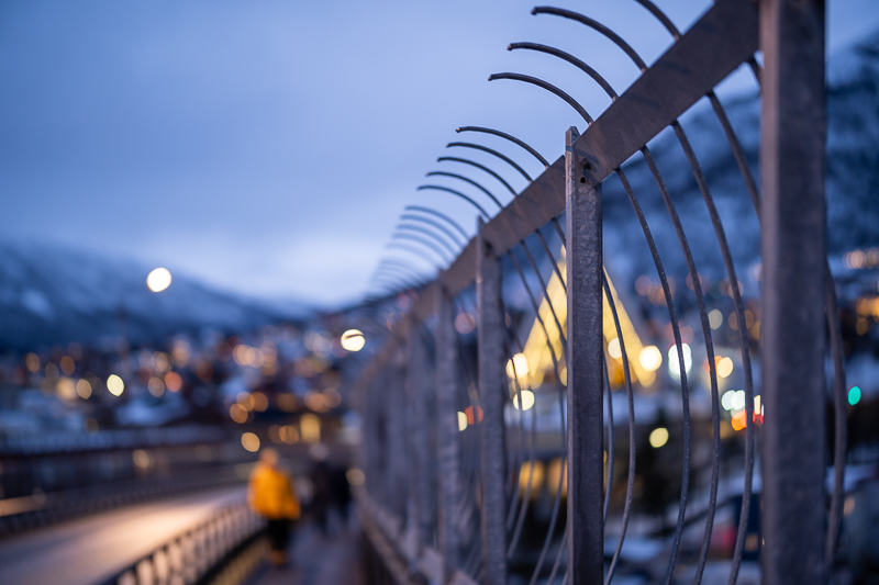 songraw 50mm 1.2 moonlit sony fe gm fullframe fastest lens contrast resolution 33mp 42mp 61mp sharpness vignetting a7riv a7rv a9 bokeh portrait z6 z7 z8 z9 zf z6iii nikon