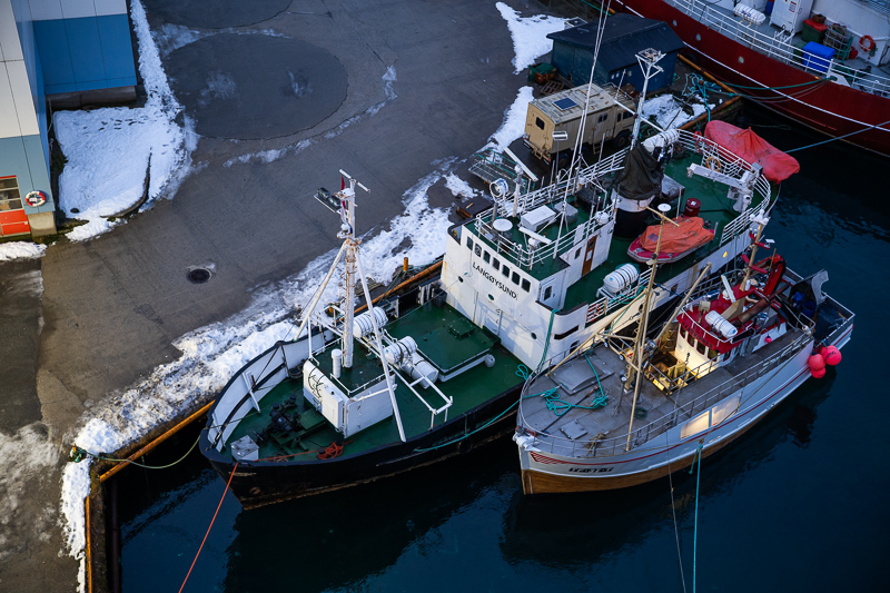 songraw 50mm 1.2 moonlit sony fe gm fullframe fastest lens contrast resolution 33mp 42mp 61mp sharpness vignetting a7riv a7rv a9 bokeh portrait z6 z7 z8 z9 zf z6iii nikon