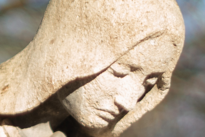 review DJ DJO DJ-optical optical china leica m 50mm 1.0 f/1.0 1,0 f/1,0 lens contrast resolution m11 m10 42mp 24mp 61mp m6 analogue contrast bokeh vignetting