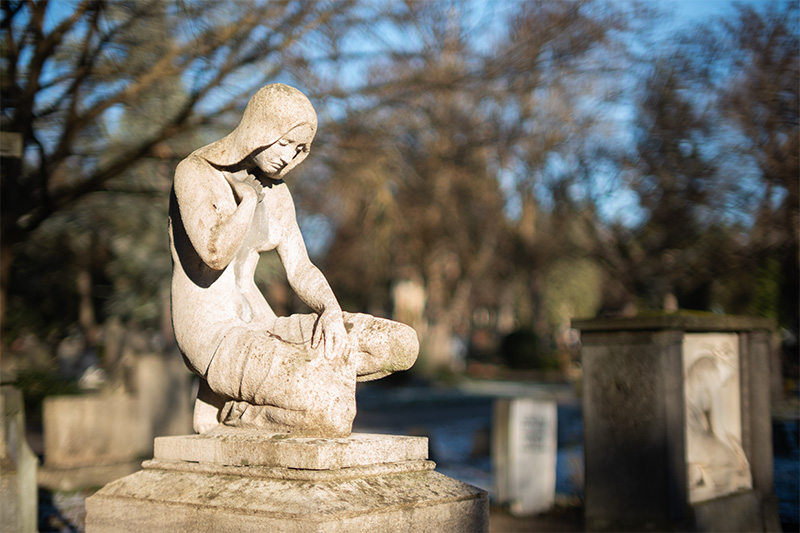 review DJ DJO DJ-optical optical china leica m 50mm 1.0 f/1.0 1,0 f/1,0 lens contrast resolution m11 m10 42mp 24mp 61mp m6 analogue contrast bokeh vignetting