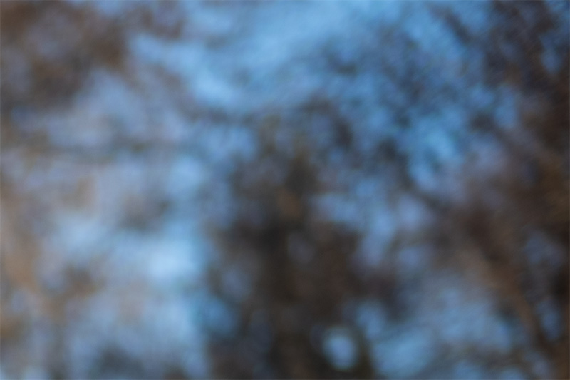 review DJ DJO DJ-optical optical china leica m 50mm 1.0 f/1.0 1,0 f/1,0 lens contrast resolution m11 m10 42mp 24mp 61mp m6 analogue contrast bokeh vignetting