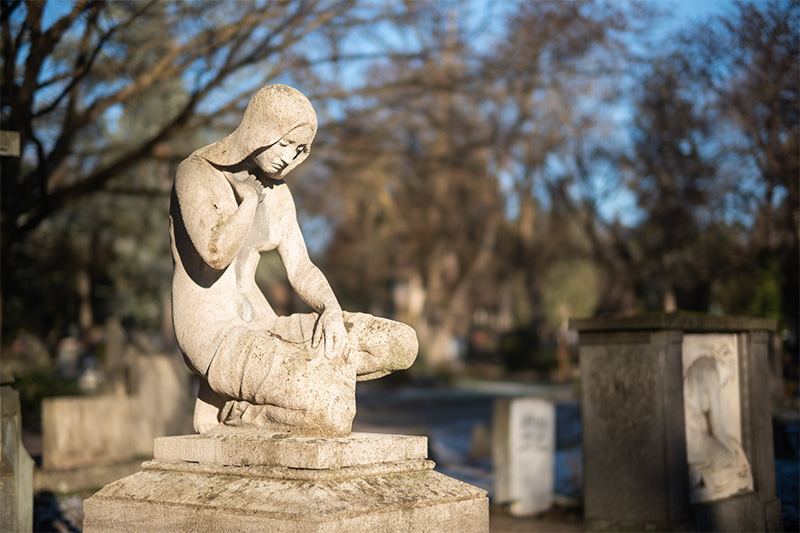 review DJ DJO DJ-optical optical china leica m 50mm 1.0 f/1.0 1,0 f/1,0 lens contrast resolution m11 m10 42mp 24mp 61mp m6 analogue contrast bokeh vignetting