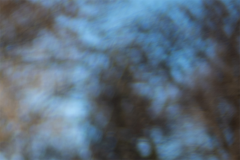 review DJ DJO DJ-optical optical china leica m 50mm 1.0 f/1.0 1,0 f/1,0 lens contrast resolution m11 m10 42mp 24mp 61mp m6 analogue contrast bokeh vignetting