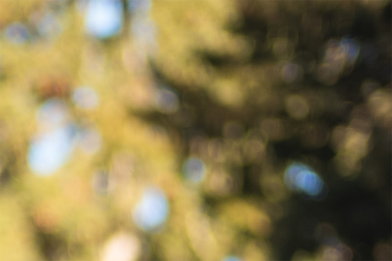 review DJ DJO DJ-optical optical china leica m 50mm 1.0 f/1.0 1,0 f/1,0 lens contrast resolution m11 m10 42mp 24mp 61mp m6 analogue contrast bokeh vignetting