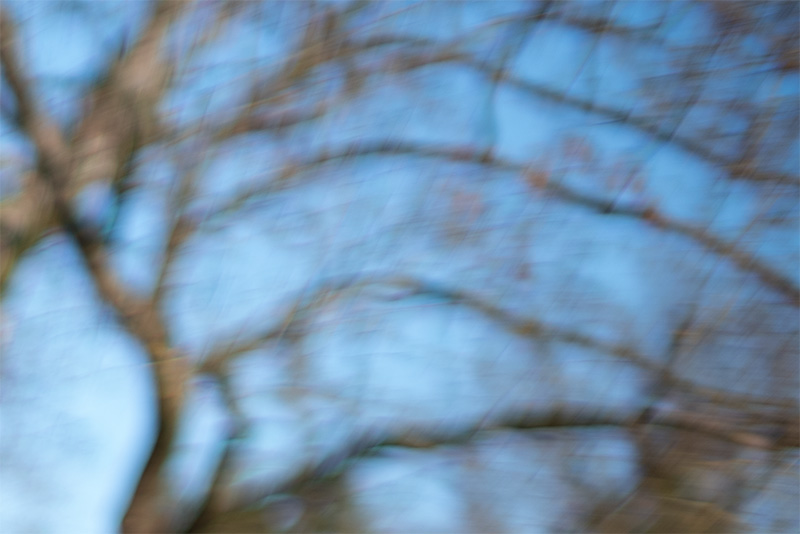 review DJ DJO DJ-optical optical china leica m 50mm 1.0 f/1.0 1,0 f/1,0 lens contrast resolution m11 m10 42mp 24mp 61mp m6 analogue contrast bokeh vignetting