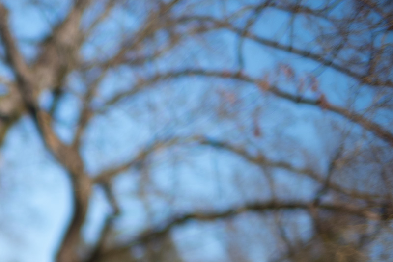 review DJ DJO DJ-optical optical china leica m 50mm 1.0 f/1.0 1,0 f/1,0 lens contrast resolution m11 m10 42mp 24mp 61mp m6 analogue contrast bokeh vignetting