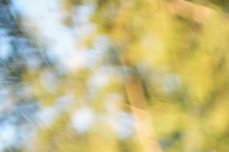 review DJ DJO DJ-optical optical china leica m 50mm 1.0 f/1.0 1,0 f/1,0 lens contrast resolution m11 m10 42mp 24mp 61mp m6 analogue contrast bokeh vignetting