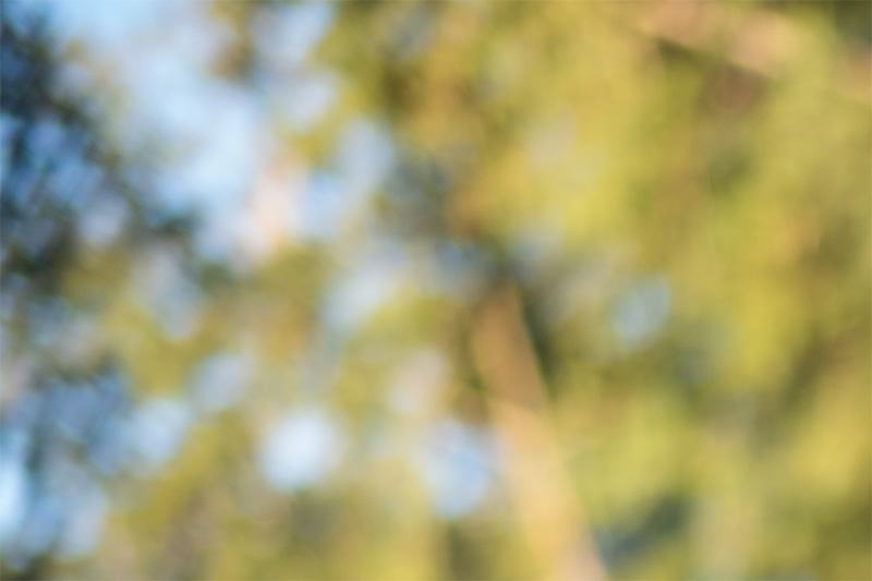 review DJ DJO DJ-optical optical china leica m 50mm 1.0 f/1.0 1,0 f/1,0 lens contrast resolution m11 m10 42mp 24mp 61mp m6 analogue contrast bokeh vignetting