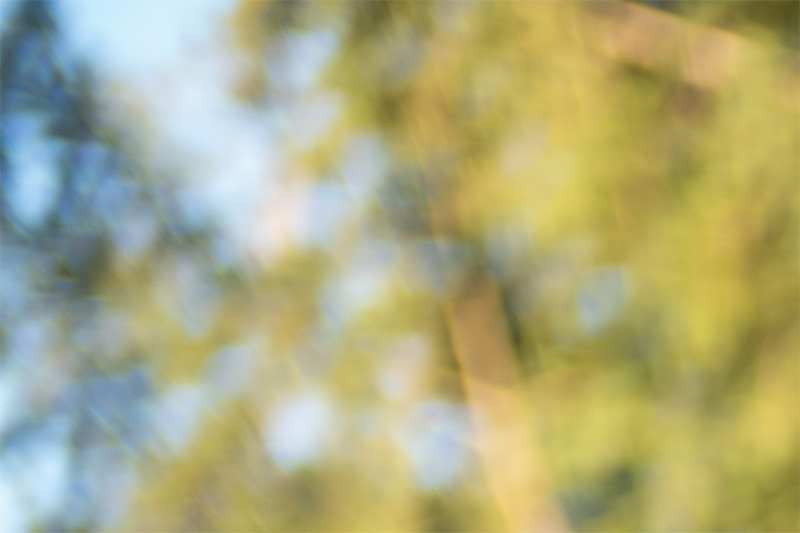 review DJ DJO DJ-optical optical china leica m 50mm 1.0 f/1.0 1,0 f/1,0 lens contrast resolution m11 m10 42mp 24mp 61mp m6 analogue contrast bokeh vignetting