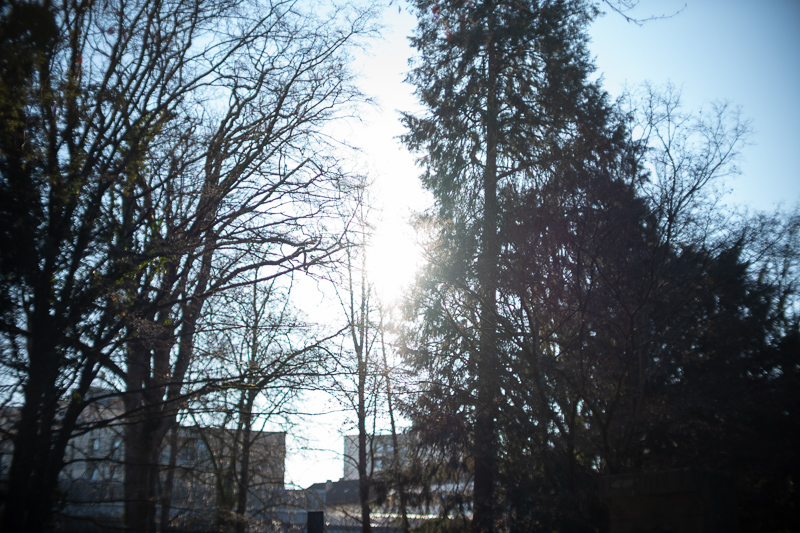 review DJ DJO DJ-optical optical china leica m 50mm 1.0 f/1.0 1,0 f/1,0 lens contrast resolution m11 m10 42mp 24mp 61mp m6 analogue contrast bokeh vignetting