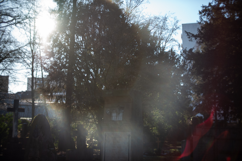 review DJ DJO DJ-optical optical china leica m 50mm 1.0 f/1.0 1,0 f/1,0 lens contrast resolution m11 m10 42mp 24mp 61mp m6 analogue contrast bokeh vignetting