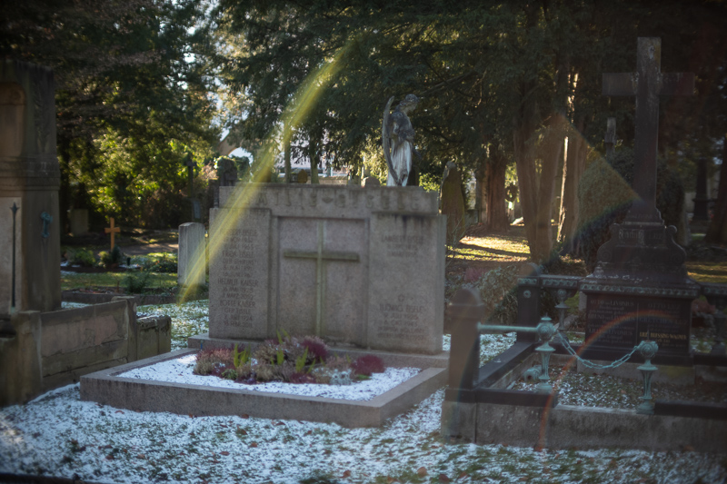 review DJ DJO DJ-optical optical china leica m 50mm 1.0 f/1.0 1,0 f/1,0 lens contrast resolution m11 m10 42mp 24mp 61mp m6 analogue contrast bokeh vignetting