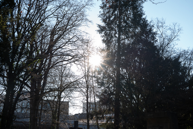 review DJ DJO DJ-optical optical china leica m 50mm 1.0 f/1.0 1,0 f/1,0 lens contrast resolution m11 m10 42mp 24mp 61mp m6 analogue contrast bokeh vignetting