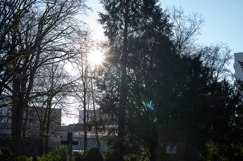 review DJ DJO DJ-optical optical china leica m 50mm 1.0 f/1.0 1,0 f/1,0 lens contrast resolution m11 m10 42mp 24mp 61mp m6 analogue contrast bokeh vignetting