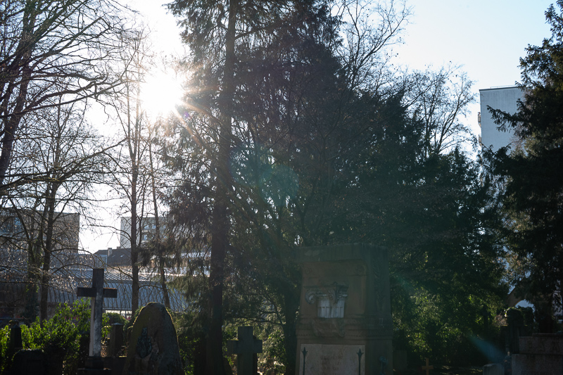 review DJ DJO DJ-optical optical china leica m 50mm 1.0 f/1.0 1,0 f/1,0 lens contrast resolution m11 m10 42mp 24mp 61mp m6 analogue contrast bokeh vignetting