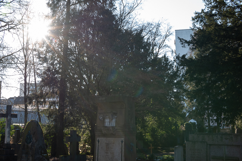 review DJ DJO DJ-optical optical china leica m 50mm 1.0 f/1.0 1,0 f/1,0 lens contrast resolution m11 m10 42mp 24mp 61mp m6 analogue contrast bokeh vignetting