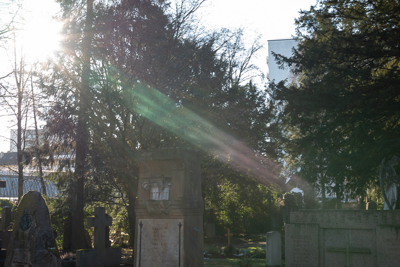 review DJ DJO DJ-optical optical china leica m 50mm 1.0 f/1.0 1,0 f/1,0 lens contrast resolution m11 m10 42mp 24mp 61mp m6 analogue contrast bokeh vignetting