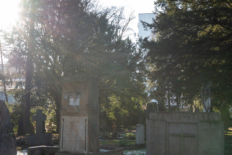 review DJ DJO DJ-optical optical china leica m 50mm 1.0 f/1.0 1,0 f/1,0 lens contrast resolution m11 m10 42mp 24mp 61mp m6 analogue contrast bokeh vignetting