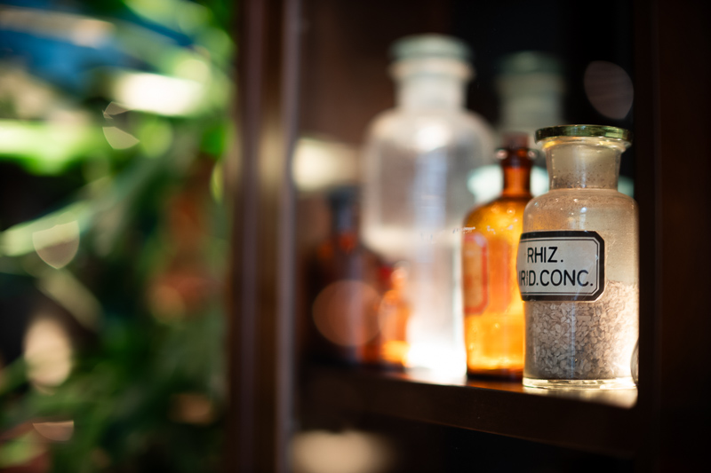 review DJ DJO DJ-optical optical china leica m 50mm 1.0 f/1.0 1,0 f/1,0 lens contrast resolution m11 m10 42mp 24mp 61mp m6 analogue contrast bokeh vignetting